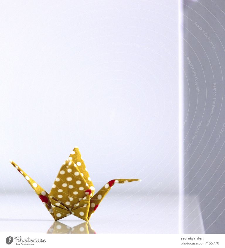 bauhaus in japan. Beautiful Leisure and hobbies Craft (trade) Art Animal Bird Paper Toys Flying Bright Kitsch Cute White Crane Asia Japan Folded