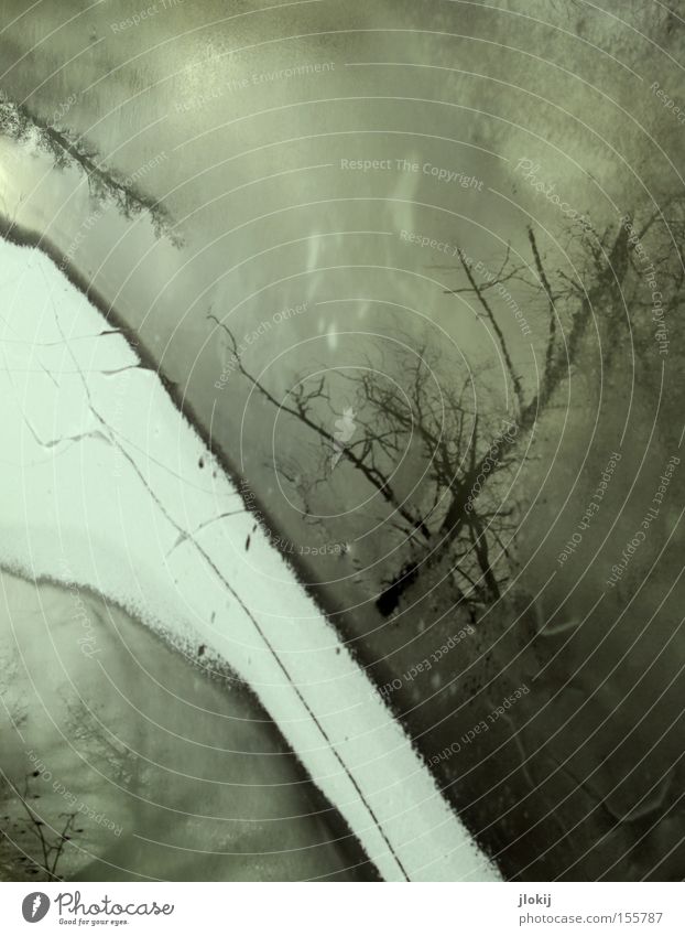 Under The Tree Ice Snow Water Reflection Winter Cold Gray Dark Lake River Frozen Brook