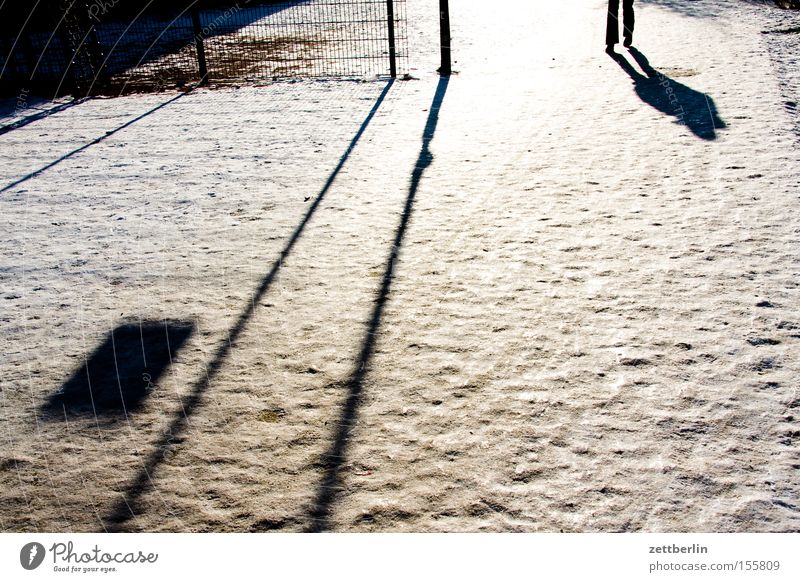 winter Snow To go for a walk Winter Cold Ice Shadow Sun Perspective Human being Legs Walking Running sports Winter maintenance program Snow layer Virgin snow