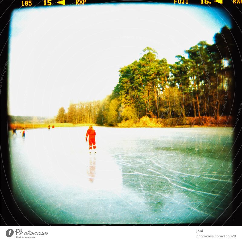 the red dot Ice-skates Winter Tree Forest Lake Pond Sun Light Reflection Tracks Joy Leisure and hobbies Smoothness Beautiful weather Playing Winter sports