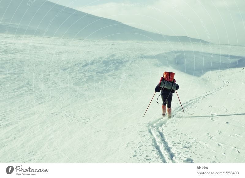 Ski hikers in a barren winter landscape, skiing in a ski track Adventure Winter Winter vacation Skiing 1 Human being Snow Mountain Backpack Backpacking vacation