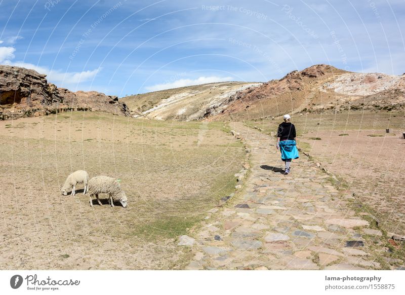 Isla del Sol Vacation & Travel Tourism Trip Adventure Far-off places Hiking Young woman Youth (Young adults) 1 Human being Landscape Island Titicaca lake