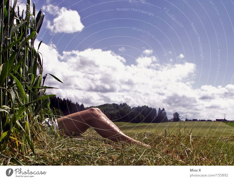 Summer delights :-) Colour photo Exterior shot Woman Adults Legs Landscape Clouds Grass Meadow Field Naked Maize Hiding place Blue sky Flower meadow Maize field