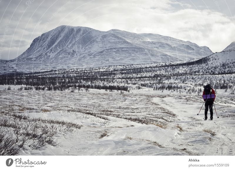 Rondane V Trip Adventure Far-off places Freedom Winter sports Skiing 1 Human being Nature Landscape Ice Frost Snow Mountain Peak Snowcapped peak Walking Wild