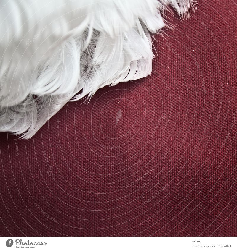 White corner Lifestyle Style Decoration Wing Angel Soft Red Feather Easy Delicate Smooth Downy feather Cloth Craft materials Ease Velvety Partially visible