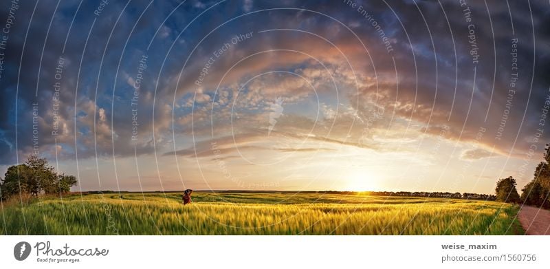 Sunset panorama in spring cereals fields with photographer Beautiful Vacation & Travel Summer Environment Nature Landscape Sky Clouds Horizon Sunrise Sunlight