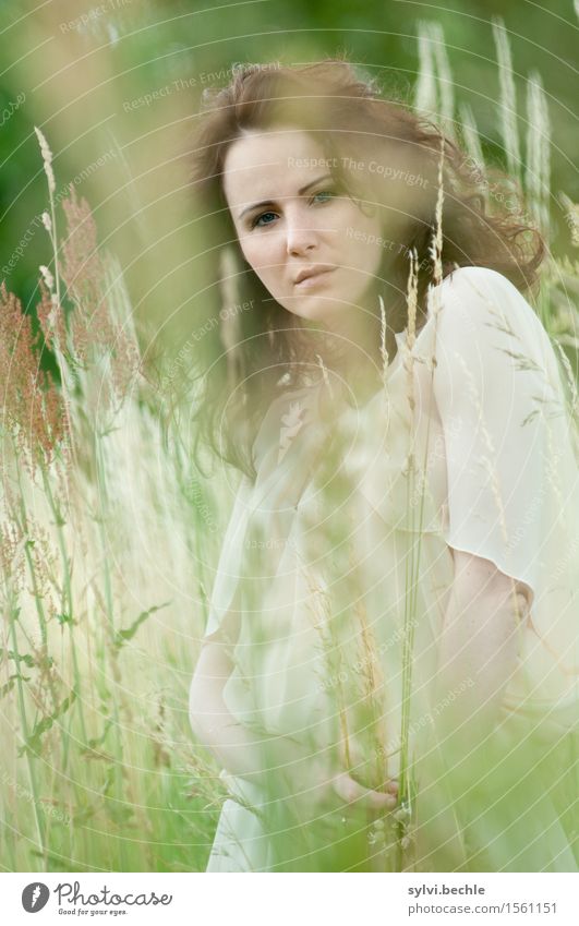 *** Hidden feelings *** Human being Feminine Young woman Youth (Young adults) Life 18 - 30 years Adults Environment Nature Plant Weather Wind Grass Meadow Field