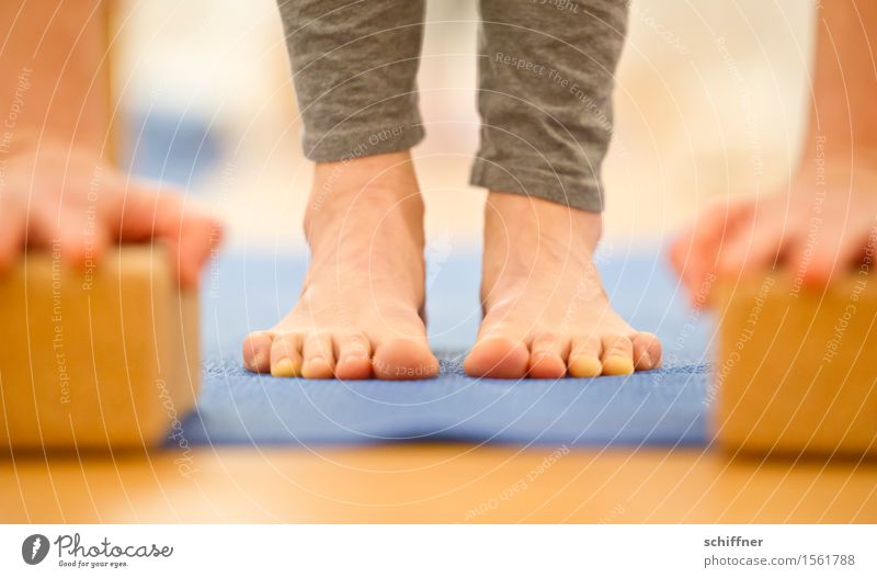 Soon I'll have the floor... Healthy Life Harmonious Well-being Calm Meditation Leisure and hobbies Sports Yoga Human being Arm Hand Legs Feet Toes Thin
