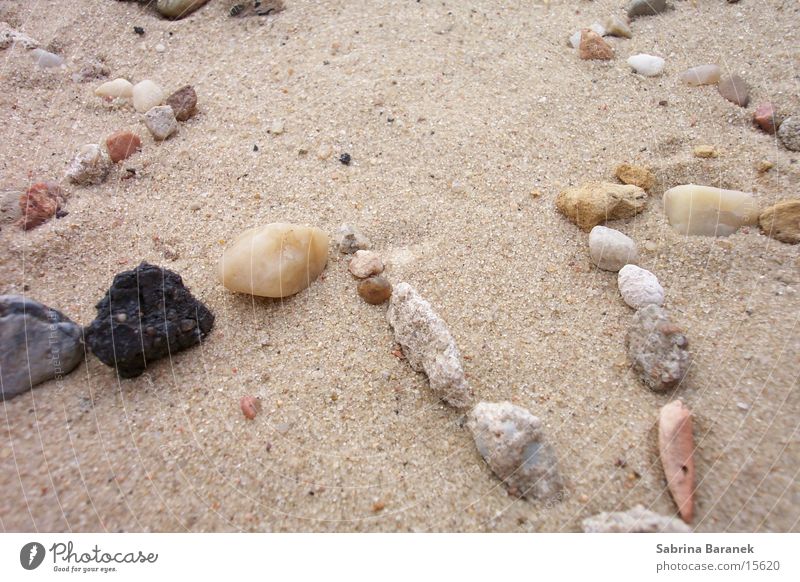 star-tailed! Beach Grain of sand Sand star jagged Stone