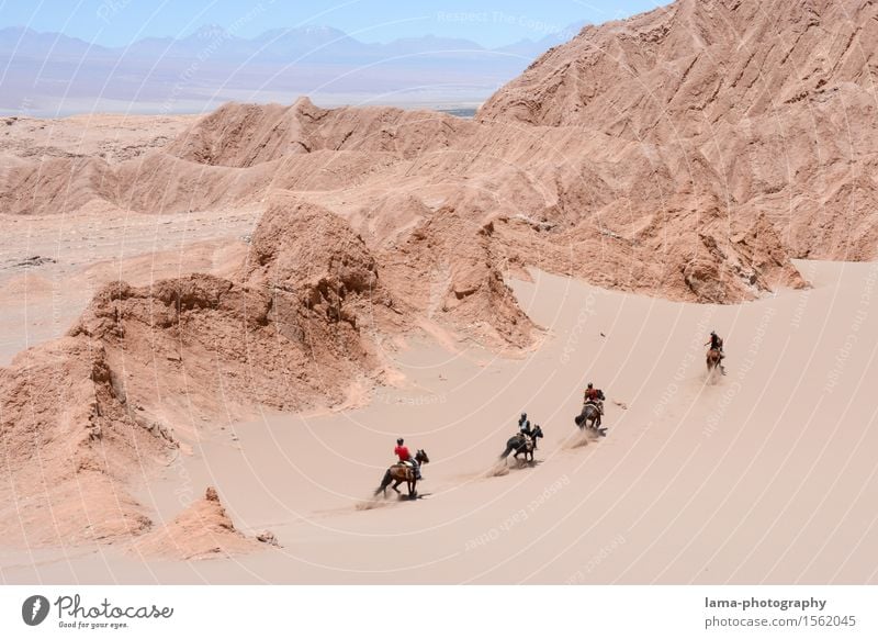 Desert Ride II Vacation & Travel Trip Adventure Far-off places Expedition Sand Rock Salar de Atacama Dune Antofagasta region San Pedro de Atacama Tupiza Chile