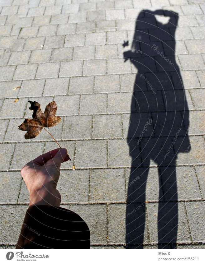 and what are you taking? Woman Adults Legs Autumn Leaf Gray Black In transit Shadow play Take a photo Photographer Autumnal Self portrait Sidewalk Colour photo