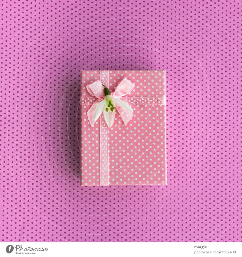 Pink gift, parcel, bow, ribbon, flower blossom, and dots Shopping Design Joy Handicraft Feasts & Celebrations Mother's Day Wedding Birthday Flower Exotic Sign