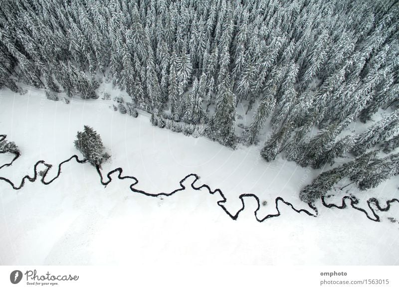 Aerial winter landscape of high pine trees and a little meandering stream Beautiful Snow Mountain Environment Nature Landscape Tree Park Forest Brook River