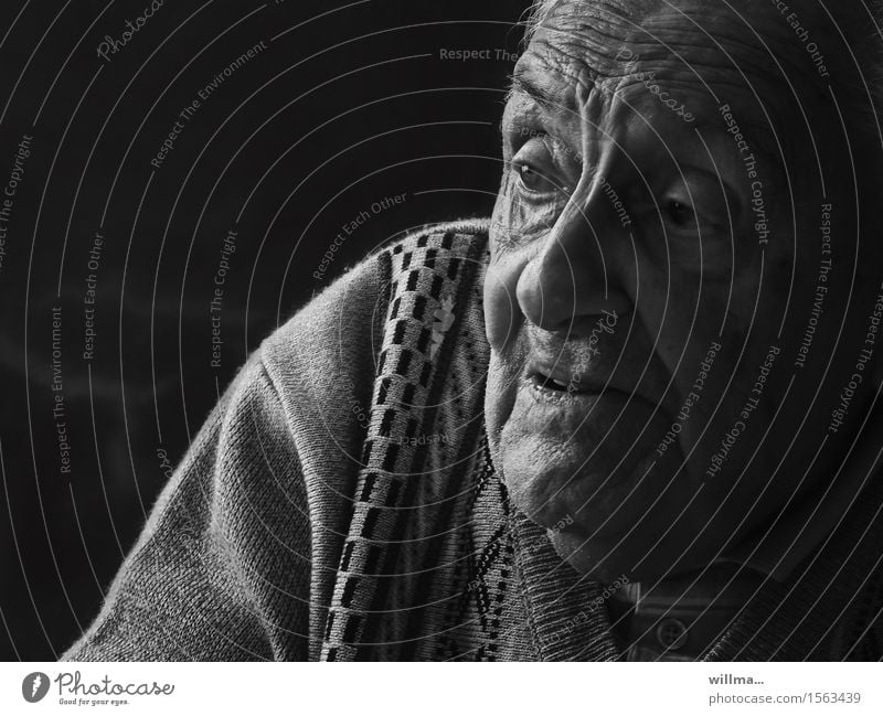 The Narrative Master. Portrait of a senior citizen Senior citizen Male senior age portrait Face Retirement Man Grandfather Old Communicate Religion and faith