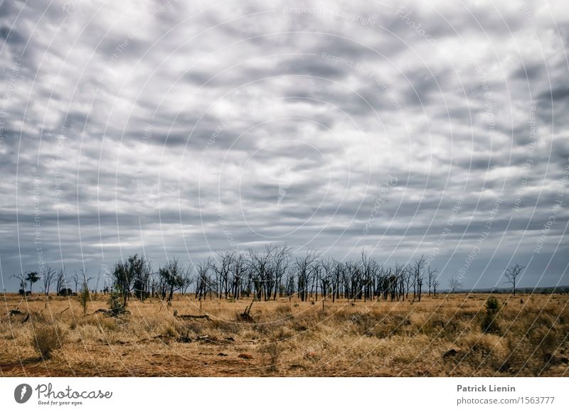 Outback Beautiful Contentment Senses Relaxation Calm Vacation & Travel Adventure Freedom Expedition Summer Nature Landscape Elements Earth Sky Clouds Weather