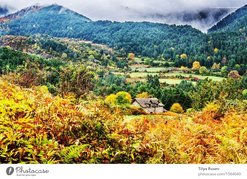 Autumn in the Pyrenees Beautiful Vacation & Travel Mountain Environment Nature Landscape Plant Sky Clouds Tree Grass Leaf Forest Places Lanes & trails Natural