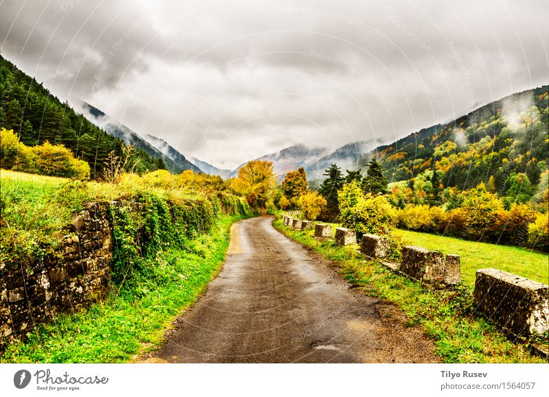 Autumn in the Pyrenees Beautiful Vacation & Travel Mountain Environment Nature Landscape Plant Sky Clouds Tree Grass Leaf Park Forest Hill Places Lanes & trails