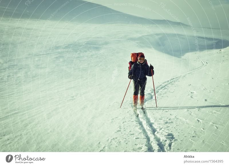 Ski hiker on adventure in arctic winter landscape Adventure Expedition Winter vacation Human being Feminine Young woman Youth (Young adults) Life 1 Nature