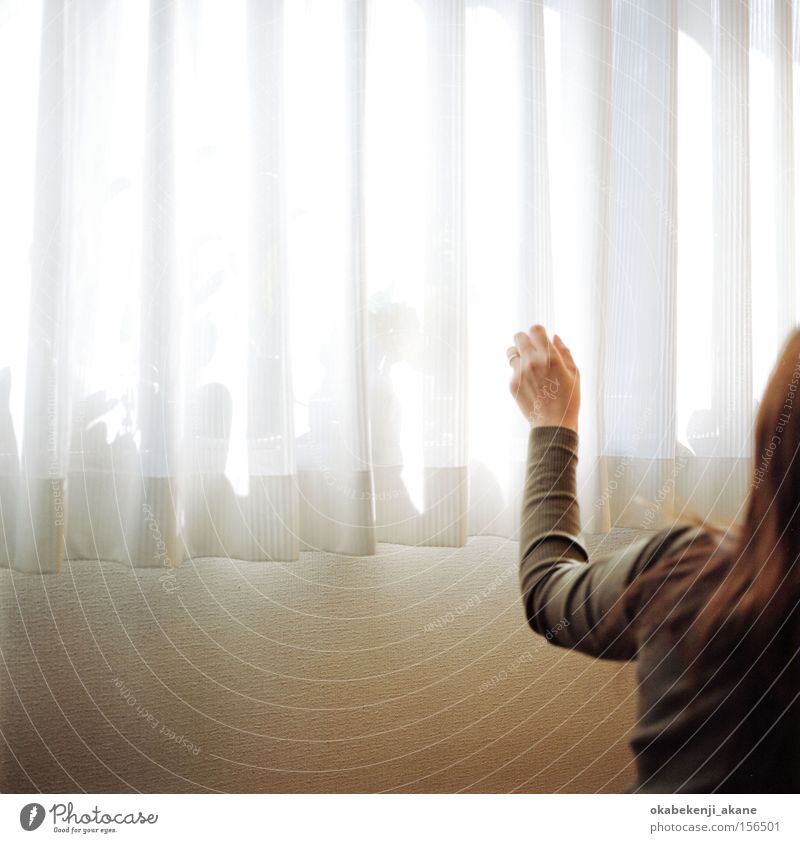 Day Light Air Ambience White Light (Natural Phenomenon) Room Japan Tokyo light effect Hasselblad