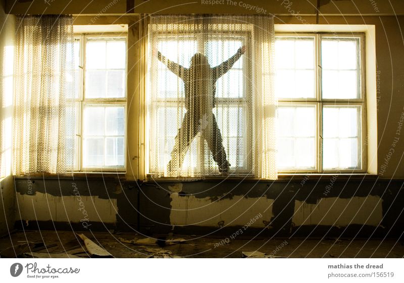 WINDOW CLEANING Window Curtain Cleaning Mystic Beautiful Esthetic Freedom Bright X-Men Stand Geometry Structures and shapes Line Shadow Room Derelict Man