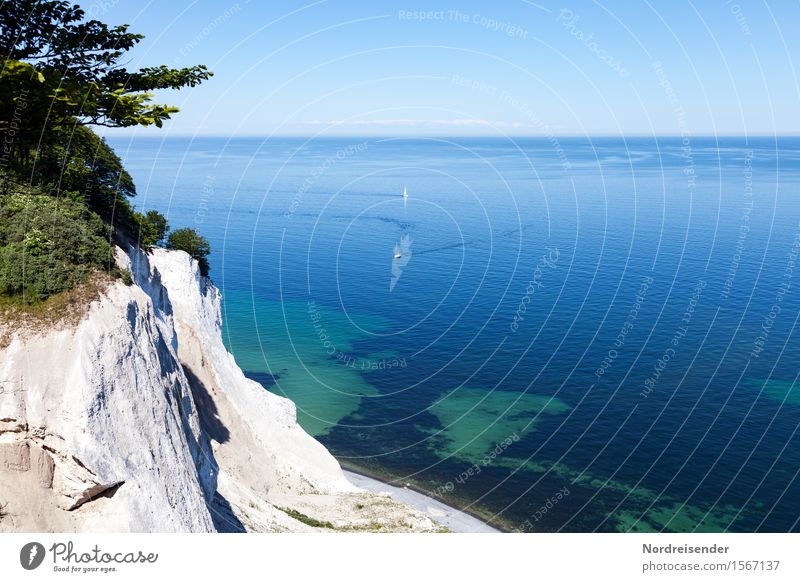 Møns Klint Vacation & Travel Tourism Summer Summer vacation Ocean Nature Landscape Cloudless sky Horizon Beautiful weather Tree Rock Coast Baltic Sea Navigation