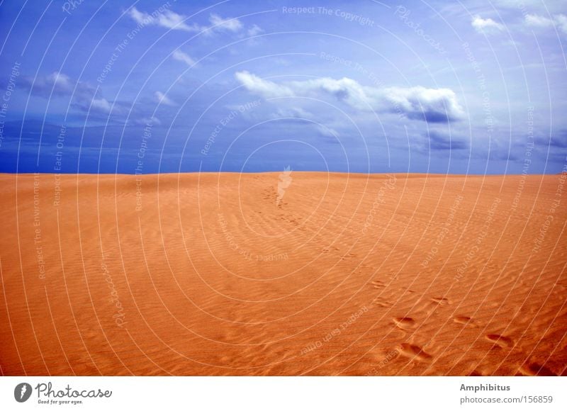 Traces in the sand Desert Sand Sky Tracks Clouds Loneliness Blue Yellow