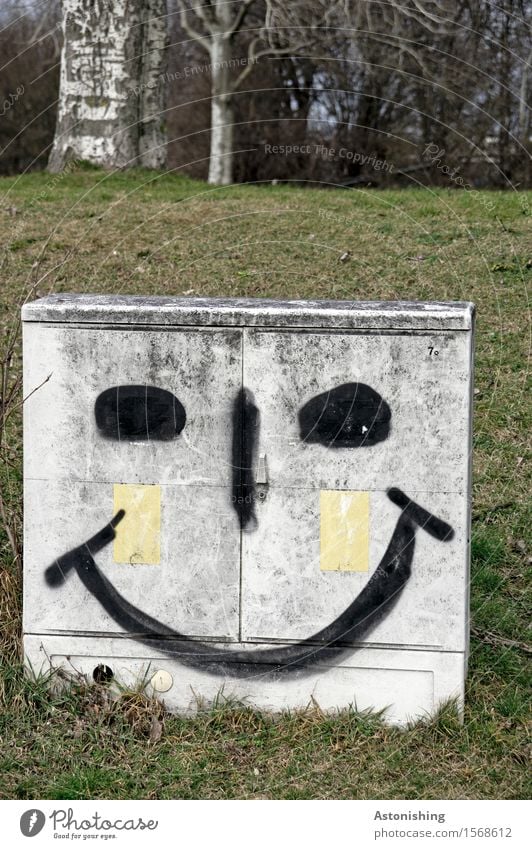 bright smile II Face Eyes Nose Mouth Environment Nature Landscape Plant Tree Grass Park Meadow Hill Vienna Smiling Laughter Illuminate Happiness Gray Green