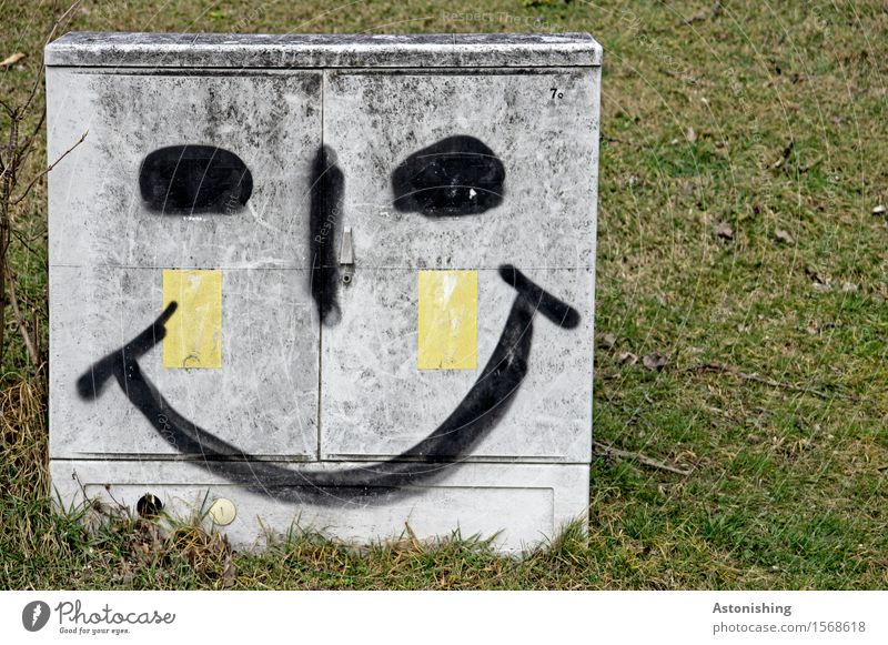 bright smile I Face Eyes Nose Mouth Art Environment Landscape Grass Meadow Vienna Smiling Laughter Illuminate Happiness Gray Green Joy Happy Contentment