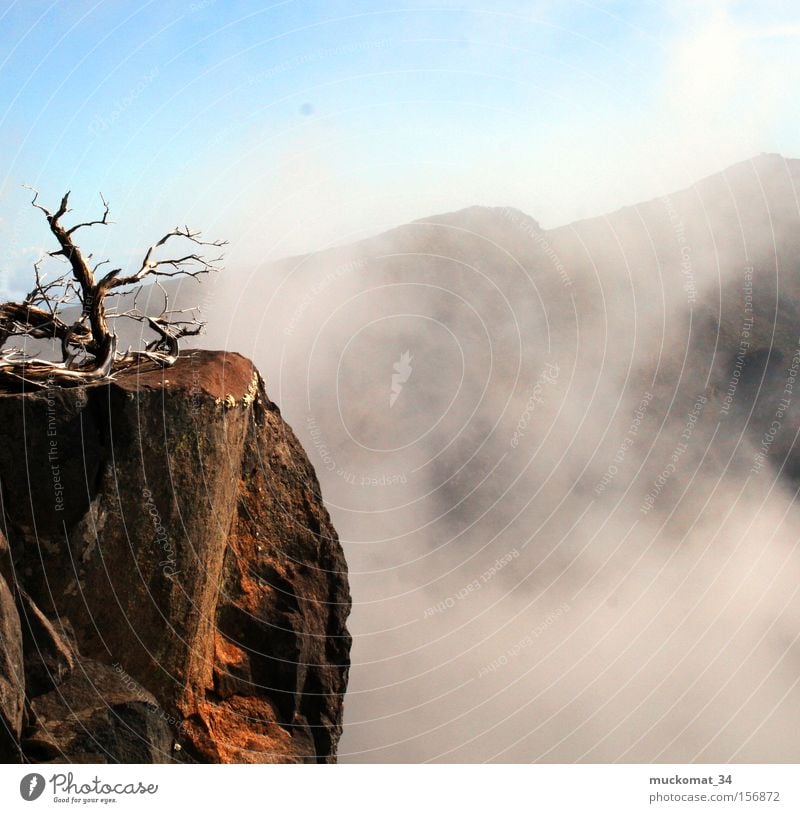 the fog Fog Branch Wood Earth Stone Mountain Sky Blue sky Mountaineering Sun Mountain range Rock Steam Volcano