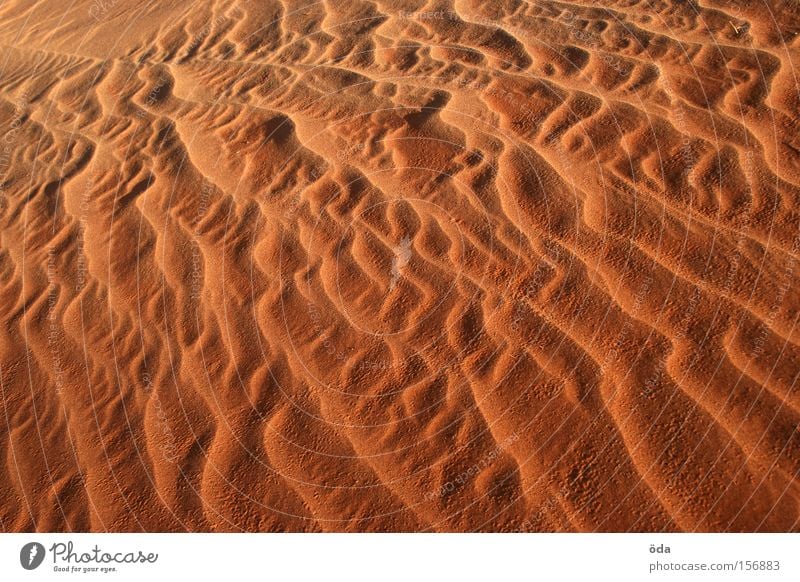 sand whispering Sand Dune Desert Wind Structures and shapes Flow Pattern Nature Dry Red Glow Sandstorm Waves Formation Colour