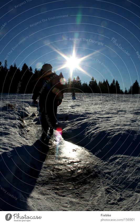 winter fun Winter Sun Snow Tree Ice Frost Flake Sky Harz Toboggan run Sledding Tracks Day Reflection Joy Nature Sunbeam Landscape Human being Woman