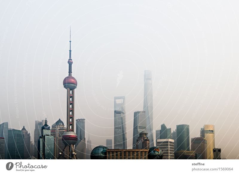 Skyline Pudong. Town City High-rise Overpopulated dwell Landmark Shanghai pudong China Smog Fog