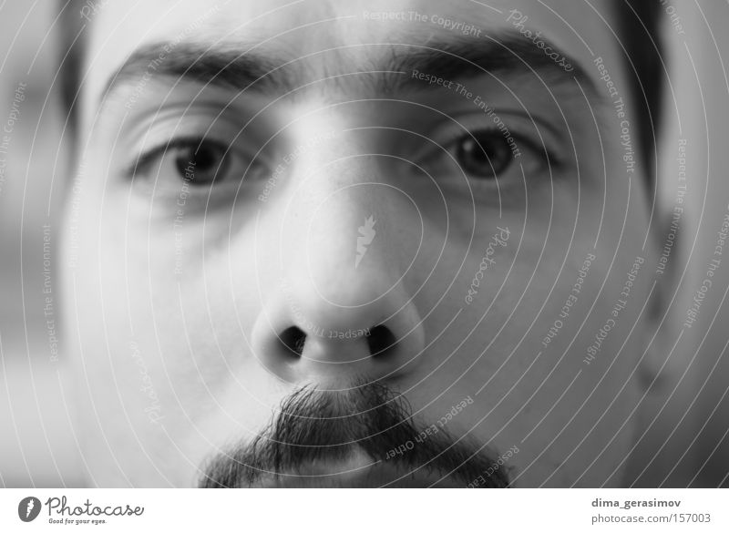 Eyes Man Nose Moustache Black & white photo Portrait photograph Style Fear Panic look