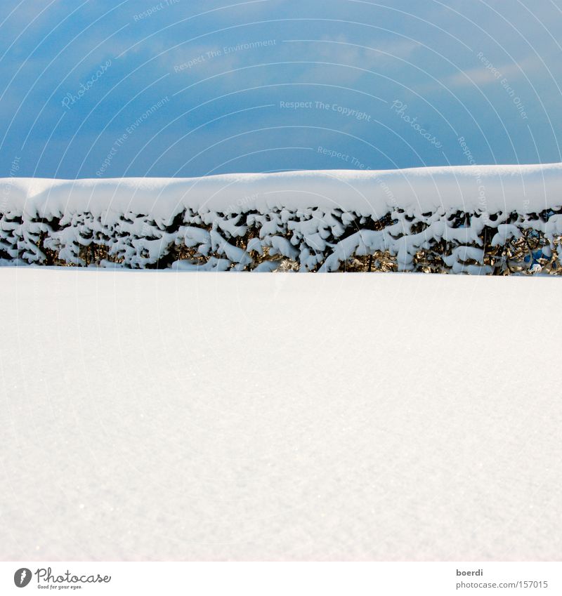 bLue on white Sky Snow Fence Border Blue White Cold Bright Winter Divide Deep snow Close-up Line Hedge Beautiful