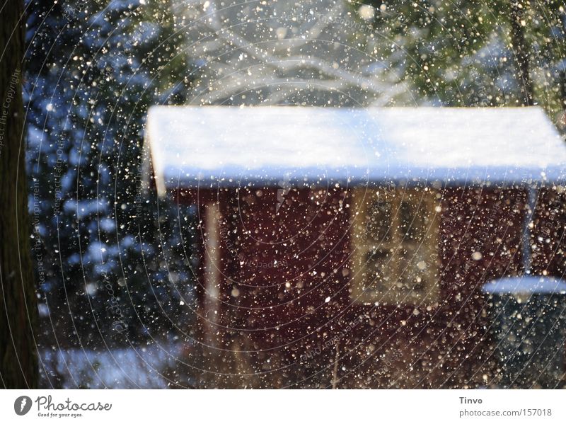 The snow trickles quietly Colour photo Exterior shot Deserted Day Calm Winter Snowfall Hut Window Roof Romance Peaceful Fairy tale Snowscape Wooden hut