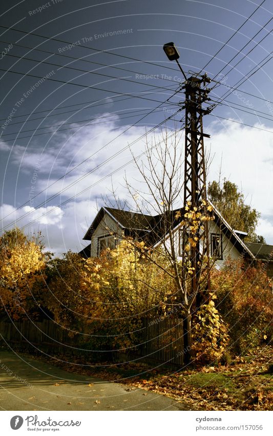 autumn day Autumn Leaf Sky House (Residential Structure) Electricity pylon East Landscape Idyll Seasons Tree Transience Living or residing Beautiful Esthetic