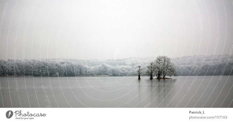 exiled Ice Tree Lake Bright Dark Calm Comforting White Snow Dream Far-off places Old Loneliness Trust Winter Germany