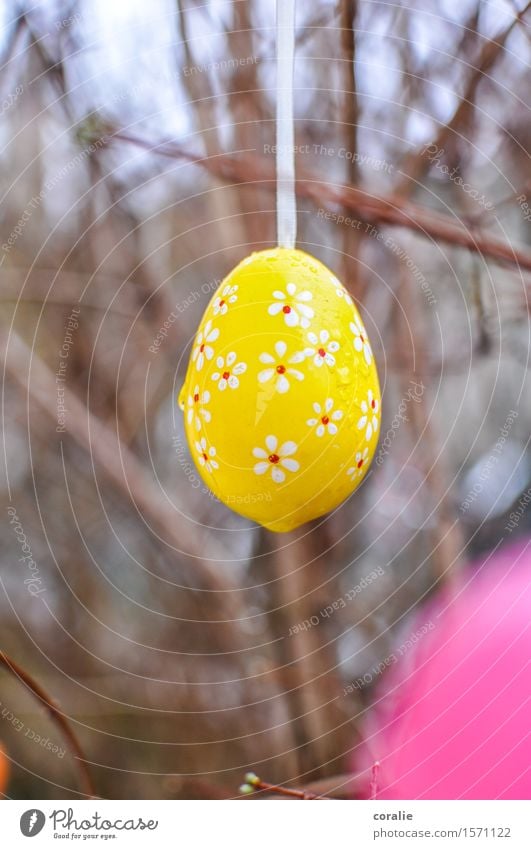 Happy egg searching Drops of water Garden Wet Cute Easter Easter egg Floral Yellow Spring April March Easter Monday Easter gift Bushes Multicoloured Dripping