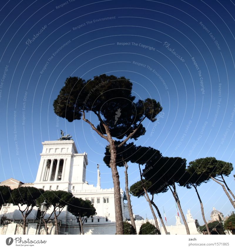 Blueing up the sky over Rome II. Sky Beautiful weather Italy Town Capital city Downtown Old town Palace Places Piazza Venezia Tourist Attraction Landmark