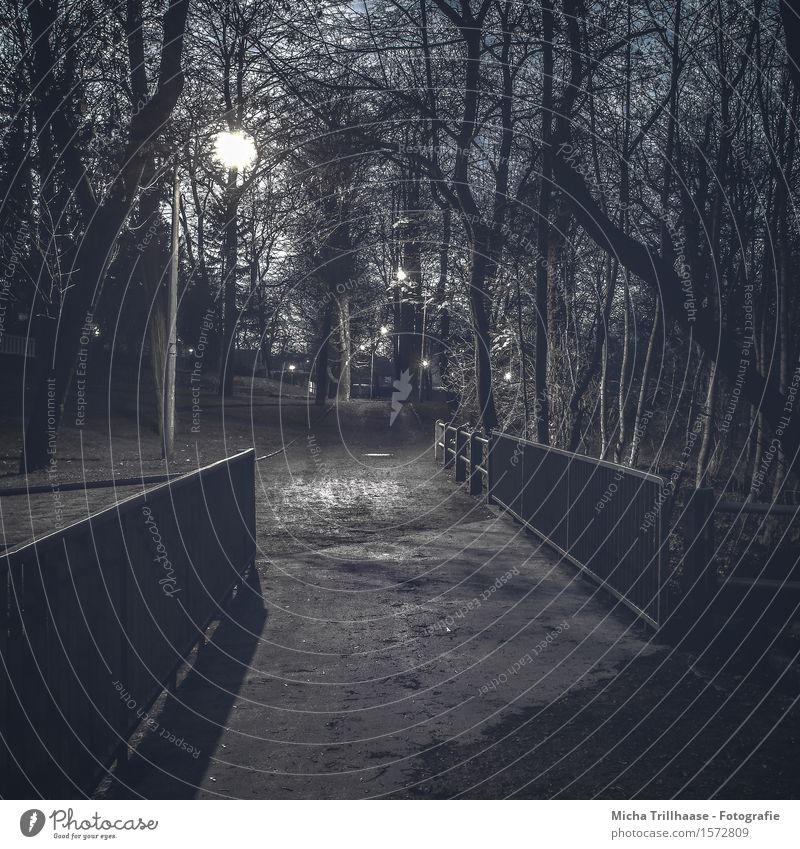 At night in the park Nature Landscape Earth Night sky Weather Plant Tree Park Deserted Bridge Architecture Lanes & trails Road junction Sand Metal Going Walking