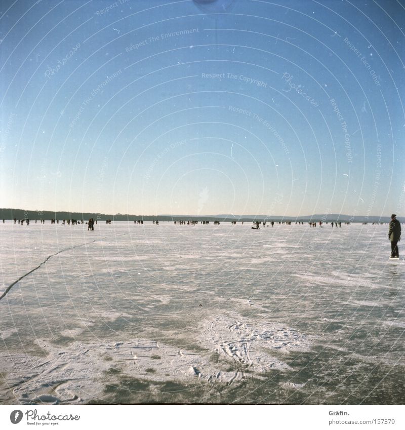 ice winter Sky Horizon Lake Frozen Winter Human being Caravan Cold Freeze Steinhuder Lake Ice-skating Group Lower Saxony