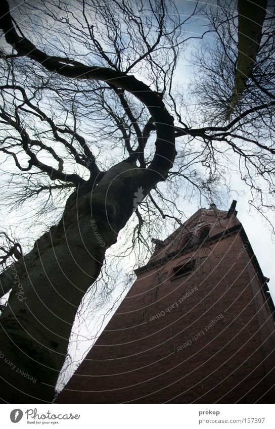 Dongding in the tower Religion and faith Church Tree Tower Church spire Holy Wide angle God Threat Nature Crazy Fantastic Wacky Distorted Bell Sky Clouds