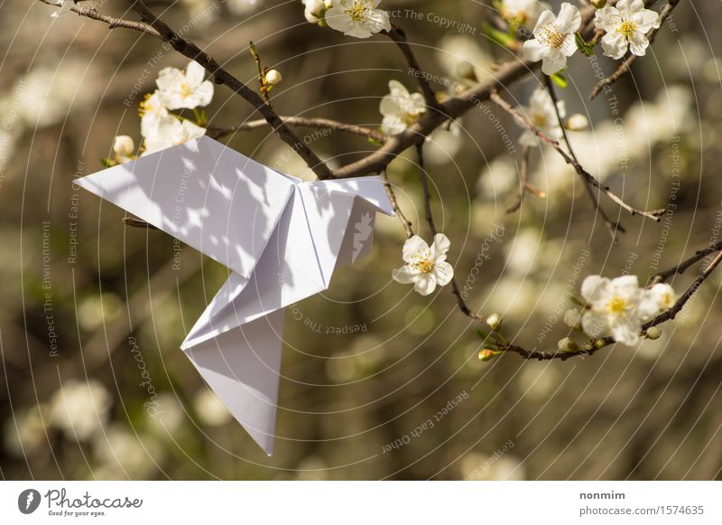 White origami dove bird hanging on blooming spring plum tree Lifestyle Elegant Happy Beautiful Garden Decoration Feasts & Celebrations Craft (trade) Art Nature