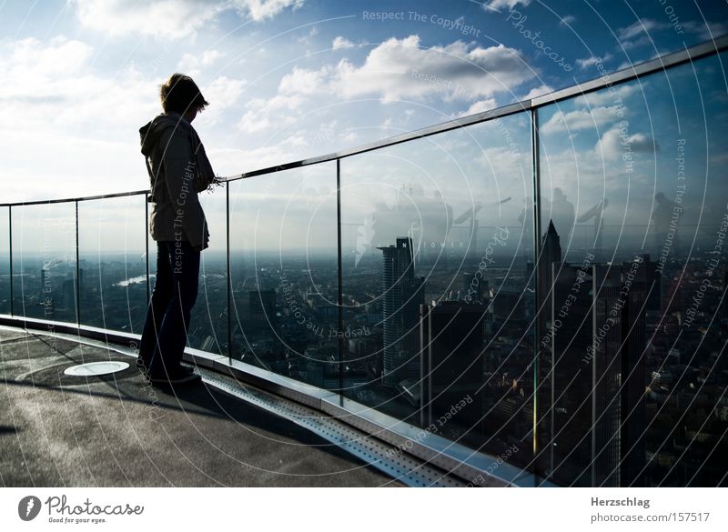 beautiful views Frankfurt Skyline Clouds Vantage point Free Flying Town Longing Air Contentment Aviation