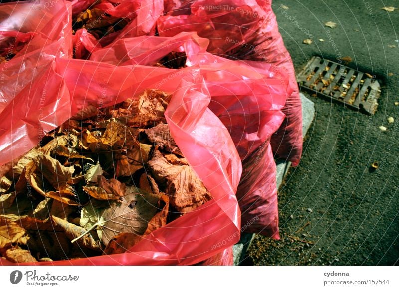 Provided Autumn Leaf Multicoloured Seasons Transience Nature Life Death Paper bag Plastic Packaging Far-off places Trash Cheap Obscure removal