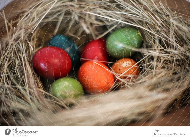 filled Easter nest Easter egg nest Straw Lie Authentic Simple Natural Multicoloured Emotions Anticipation Creativity Tradition Colour photo Interior shot