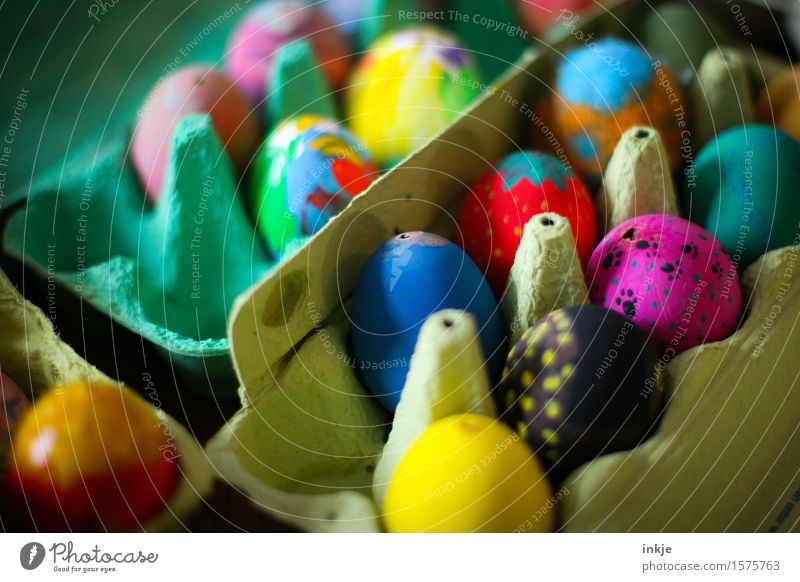 In 249 days Easter will be Packaging Decoration Collection Easter egg Eggs cardboard Exceptional Uniqueness Multicoloured Idea Inspiration Creativity Art