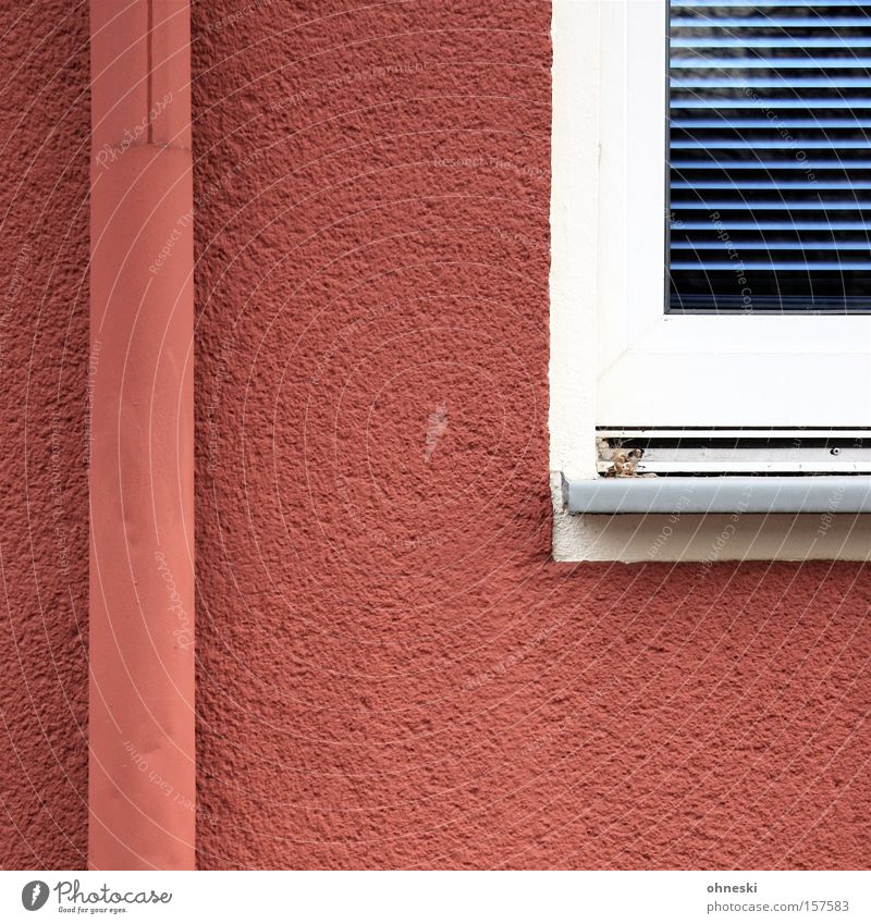Rain pipe and window Window Roller blind Colour Red Blue Painter Paintwork Line Detail Downpipe