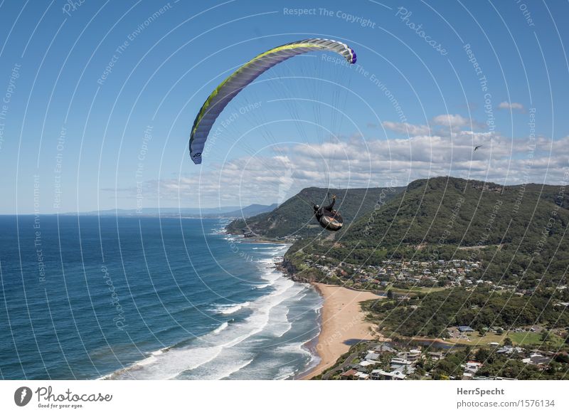 Stanwell Park with paraglider Funsport Extreme sports Paragliding Human being Man Adults 1 30 - 45 years Nature Landscape Sky Clouds Summer Beautiful weather