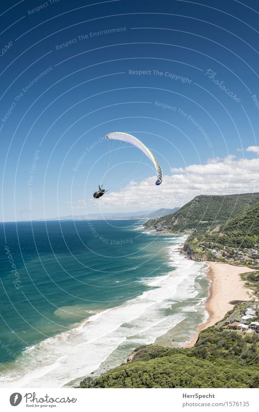 Stanwell Park with paraglider Sports Sportsperson Funsport Extreme sports Paraglider Paragliding 1 Human being 30 - 45 years Adults Nature Landscape Sky Clouds